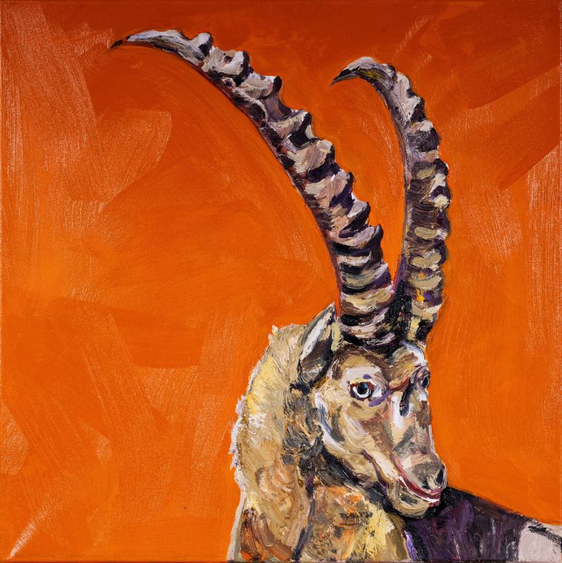 Walter Bauer – Steinbock, Berchtesgaden