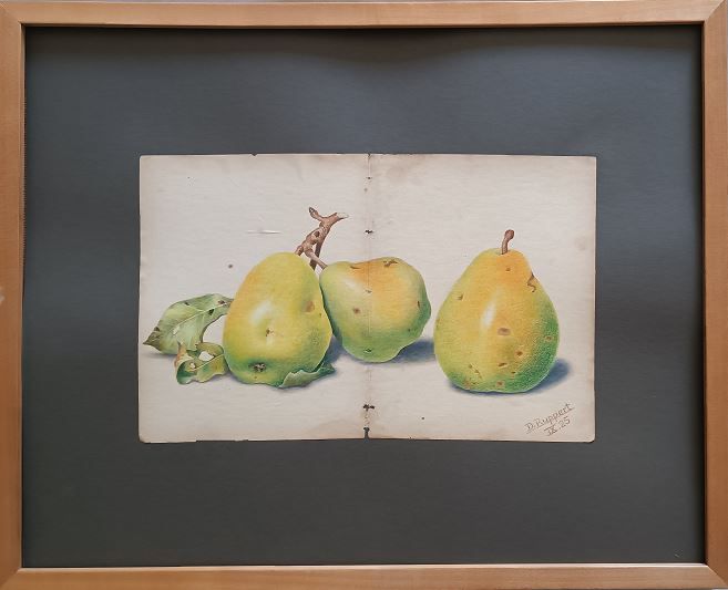 Dieter Ruppert – Birnen